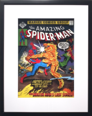 spiderman vol. 1, no. 141 (copy)